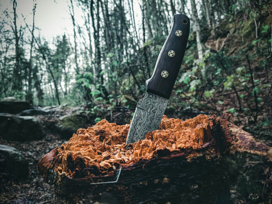 The Unsung Hero: Why a Good Knife is Essential for Survival Adventures